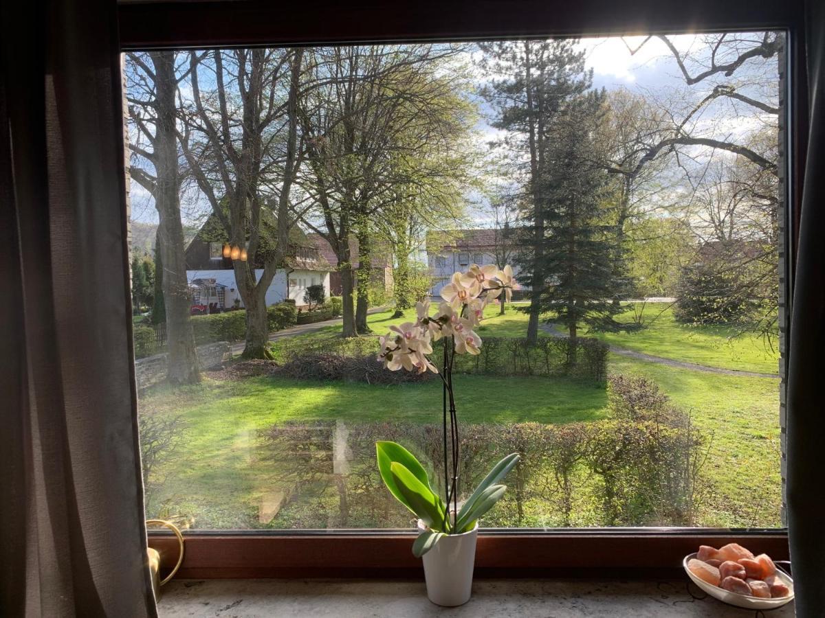 Parkblick *